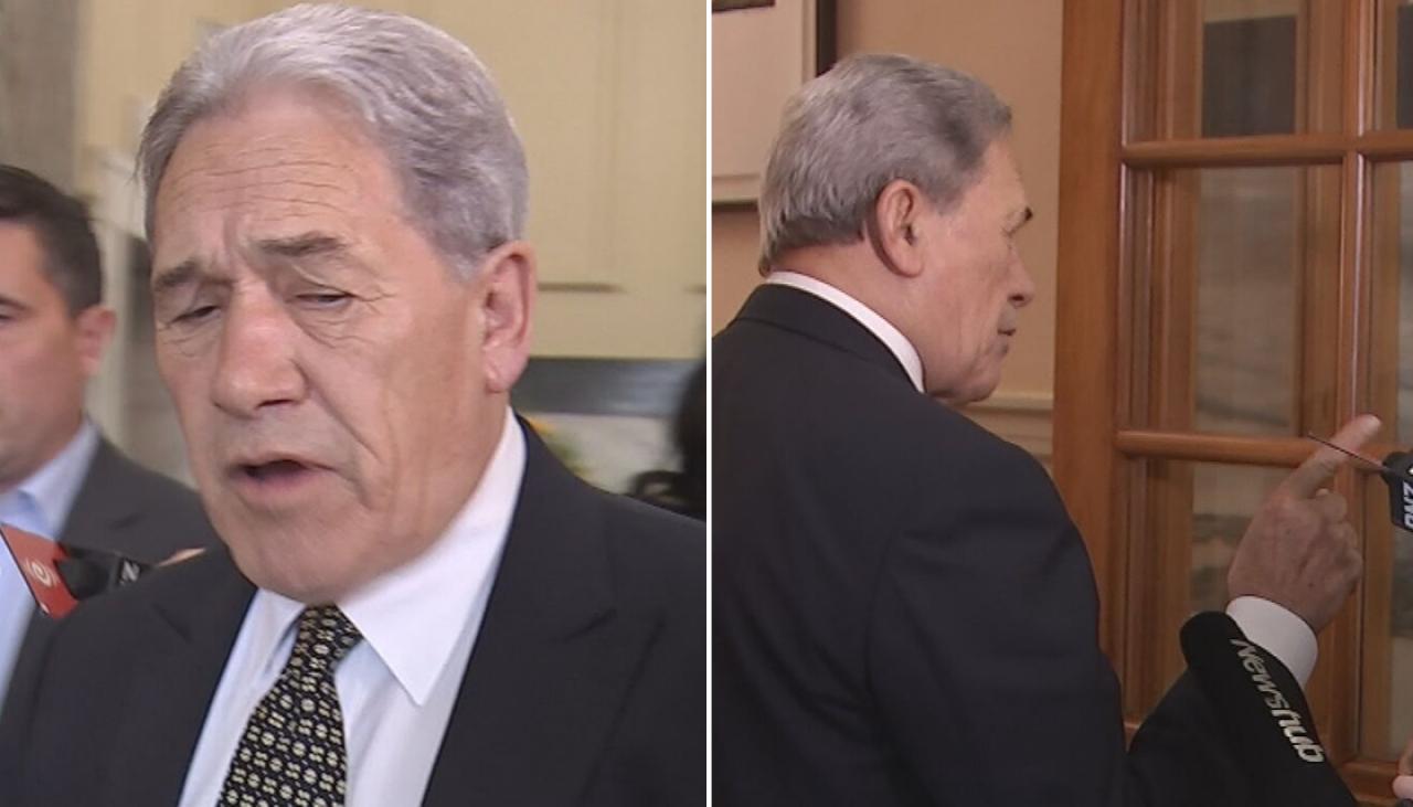 'Stop lying': Peters erupts as he defies Luxon's warning over Nazi Germany comments