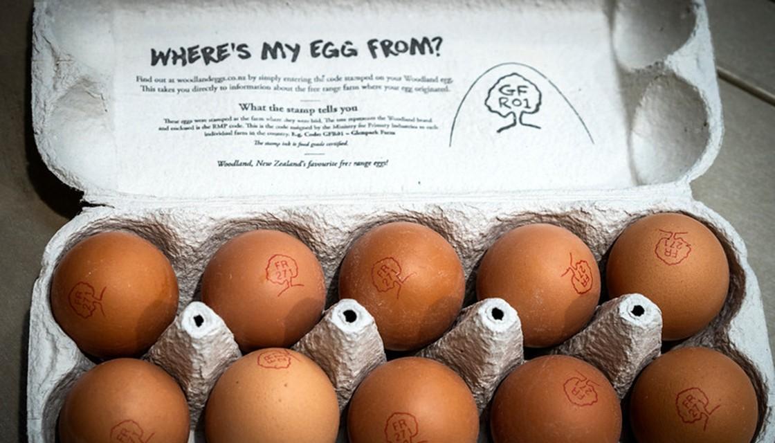 NZ egg industry launches traceability programme | Newshub