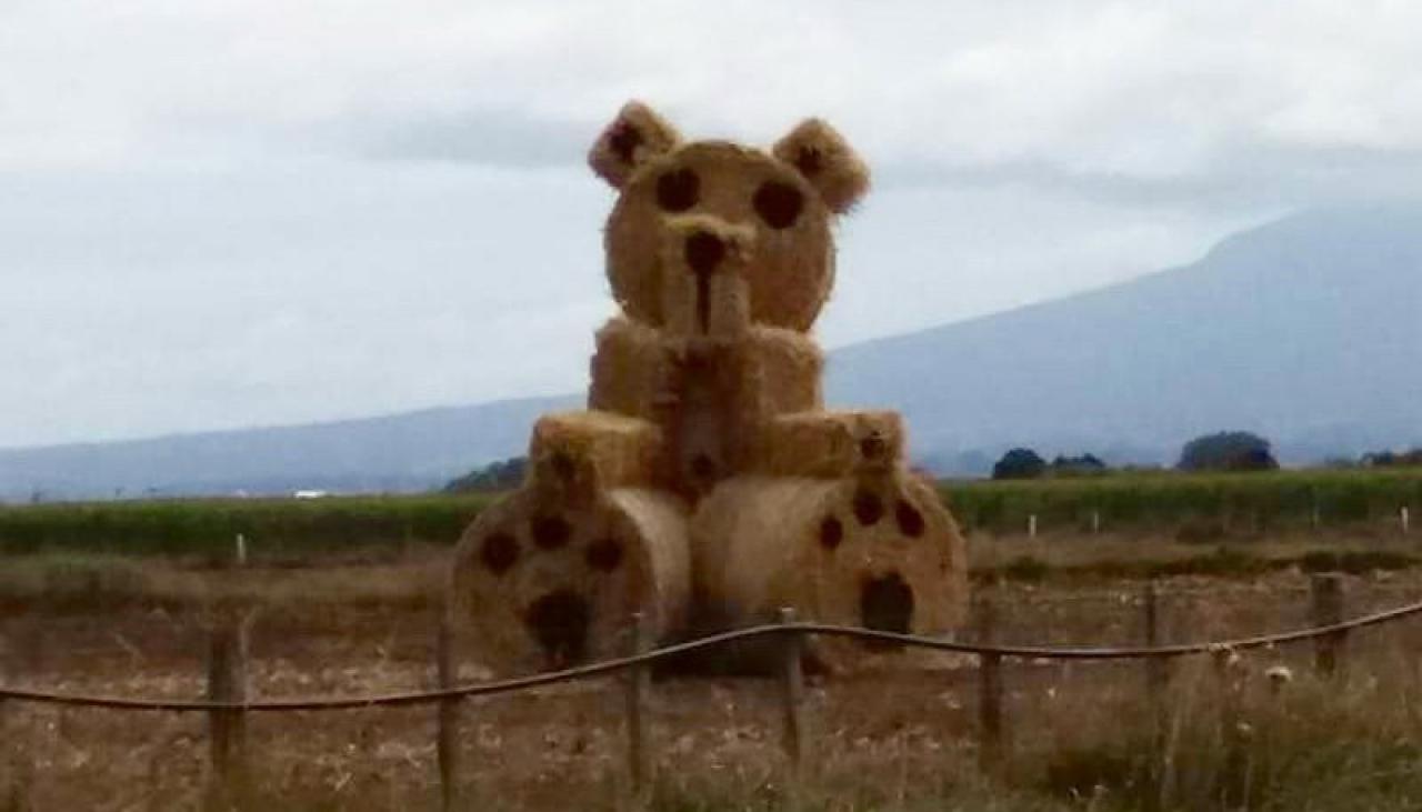 Coronavirus: Taranaki farmer makes giant hay bale teddy for 'Ted in the window' campaign
