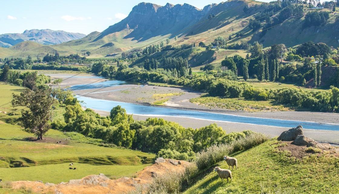 https://www.newshub.co.nz/home/rural/2020/05/government-invests-700-million-to-protect-fresh-waterways-announces-raft-of-new-regulations/_jcr_content/par/image.dynimg.full.q75.jpg/v1590623683991/getty-river-waterway-1120.jpg