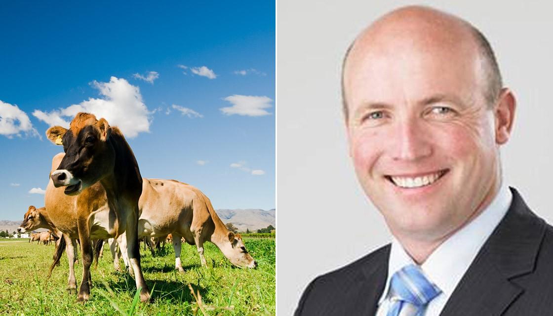 https://www.newshub.co.nz/home/rural/2020/05/national-s-new-agriculture-spokesperson-david-bennett-accuses-government-of-using-farmers-to-just-pay-the-bills/_jcr_content/par/image.dynimg.full.q75.jpg/v1590551432189/getty-facebook-cow-david-bennett-1120.jpg