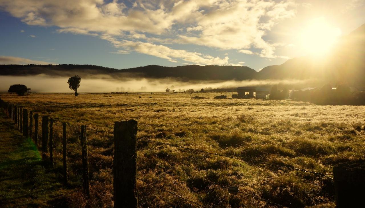 Is regenerative agriculture the future for New Zealand farming? | Newshub