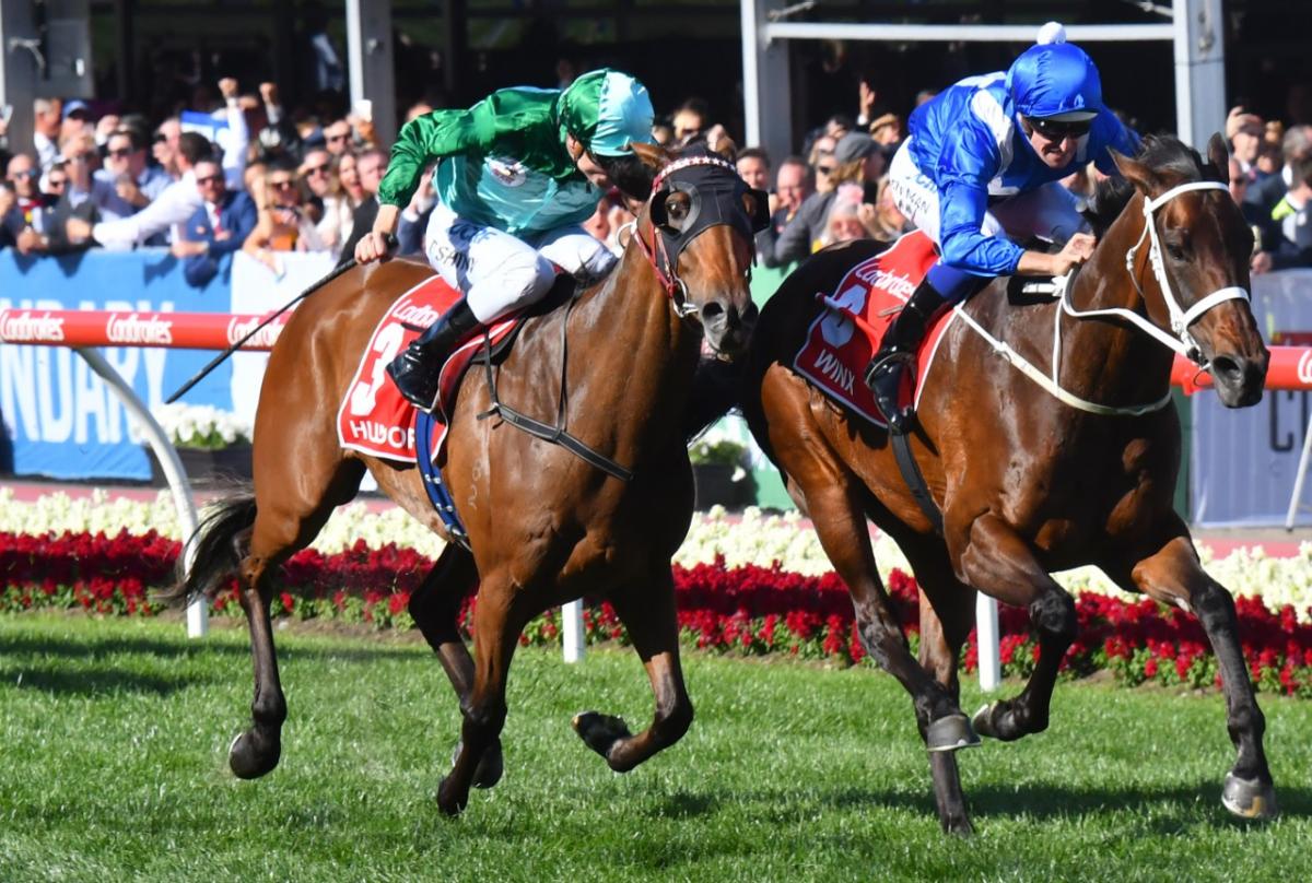 The Melbourne Cup Nine Things You Need To Know About Australias