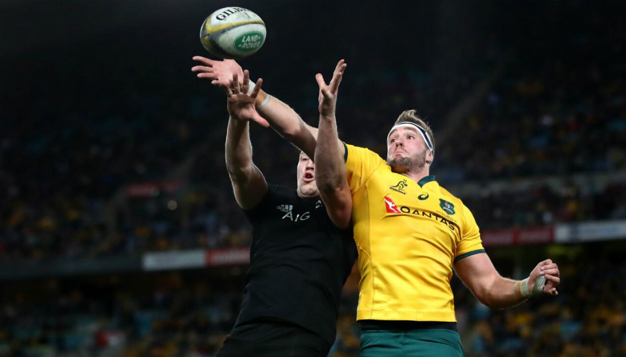 Rugby Australia will 'do everything in its power' to ensure All Blacks are home for Christmas | Newshub