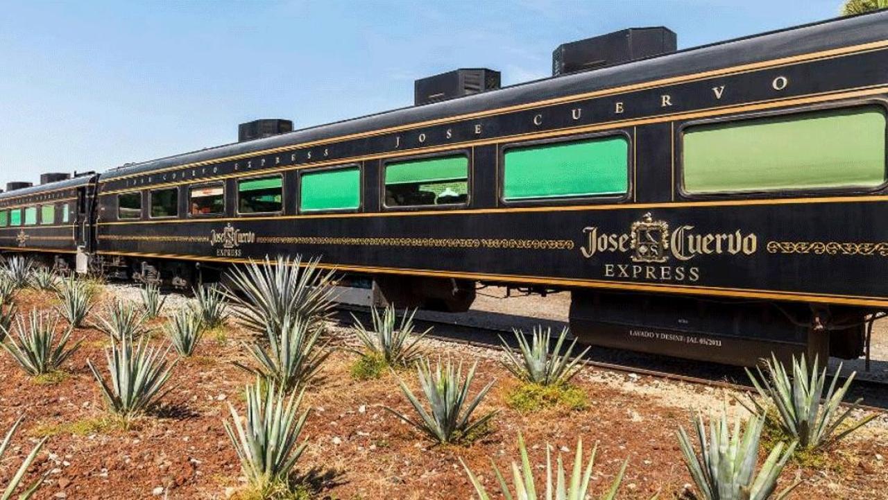 The all-you-can-drink tequila train that travels through Mexico | Newshub