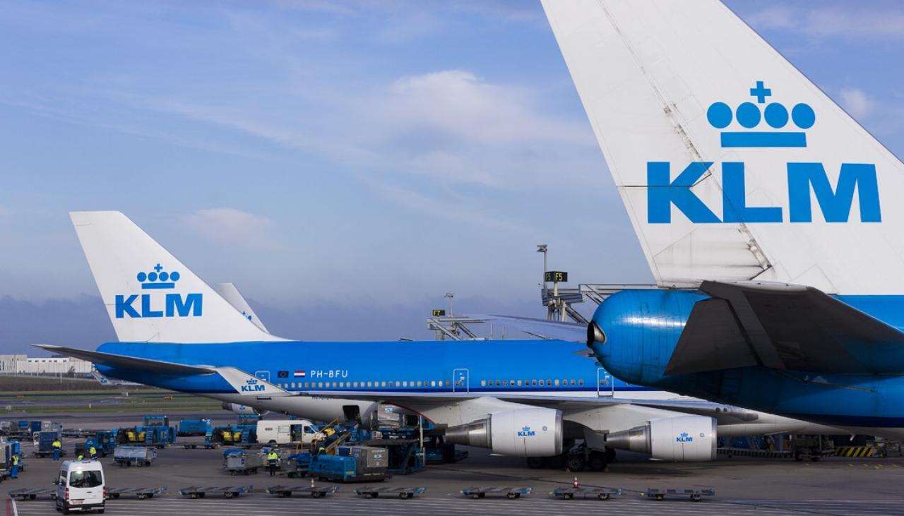 Pet dog dies on Air France-KLM flight from lack of oxygen.