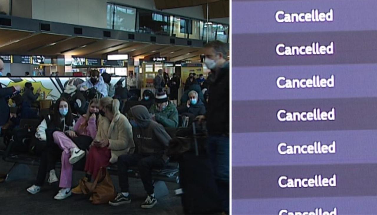 Air NZ working through huge backlog of passengers after wild weather  cancelled flights in Wellington | Newshub