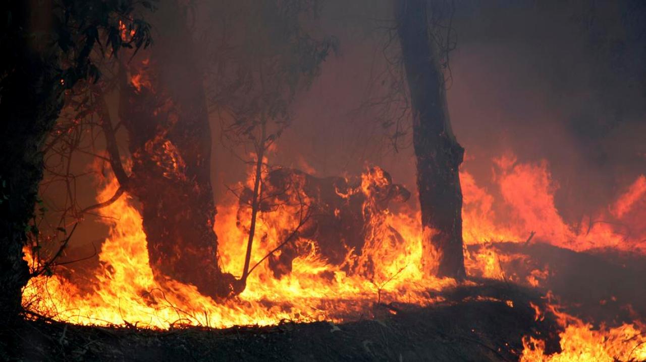 Greece Wildfire Prompts Village Evacuations Newshub