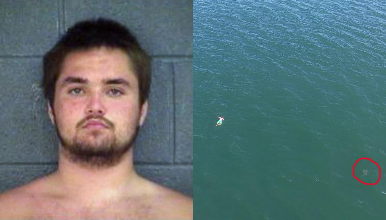 US fugitive swims from cops, straight into path of shark | Newshub