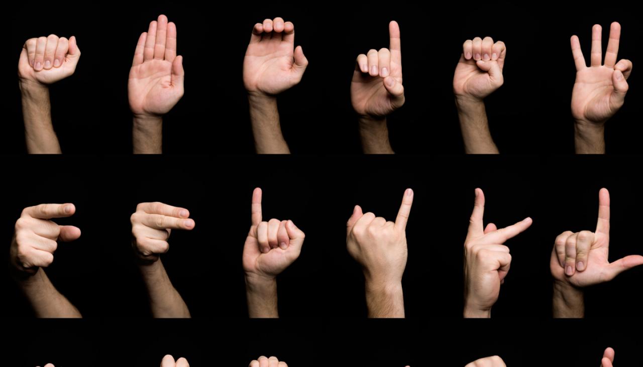 Sign language interpreter warns public of 'bears' and 'pizza...