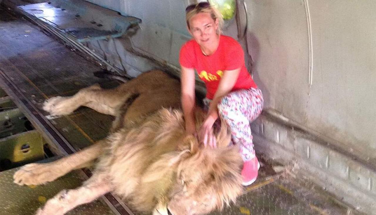 Photo Taken Moments Before Lion Mauled Woman Newshub