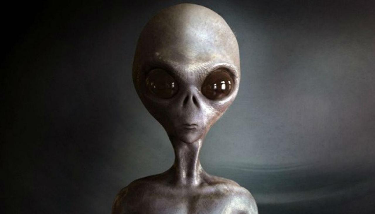 Area 51: Over 1m sign up to storm base, 'see them aliens ...