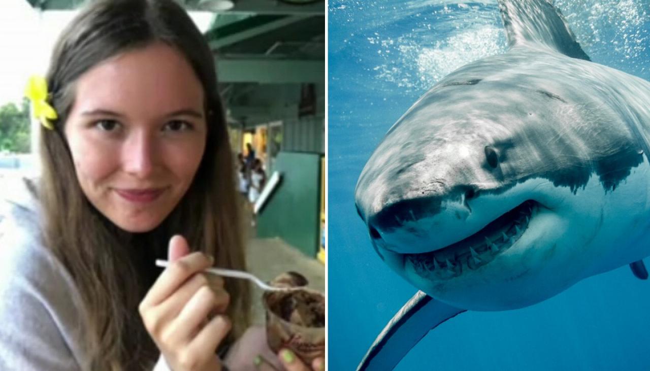 describes moment mauled by sharks in | Newshub
