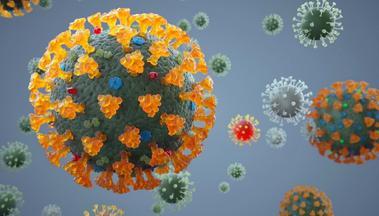 Photo of Coronavirus: tous les virus COVID-19 du monde combinés peuvent peser le même poids qu’une pomme de terre – étude
