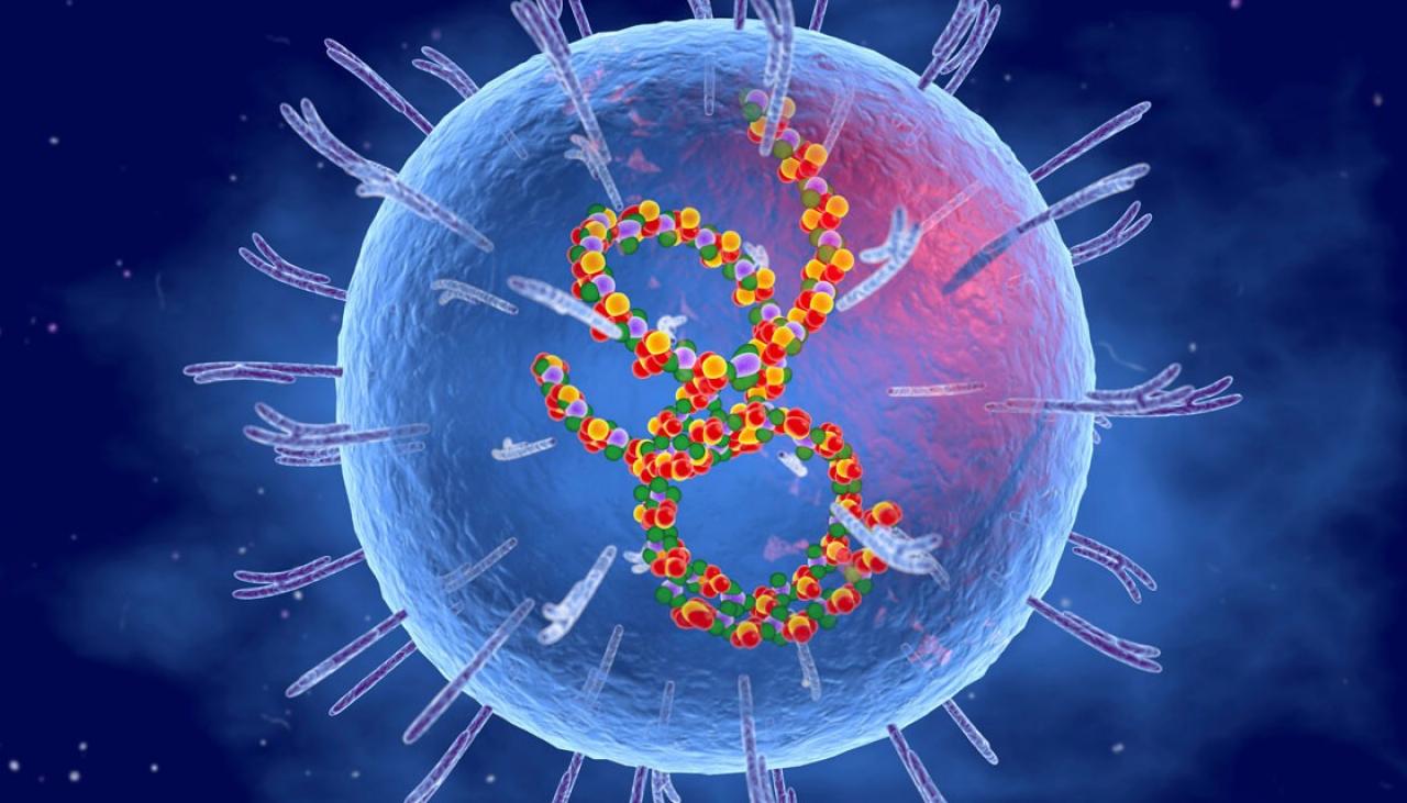 Coronavirus: Neither the COVID-19 vaccines nor the virus can turn 
