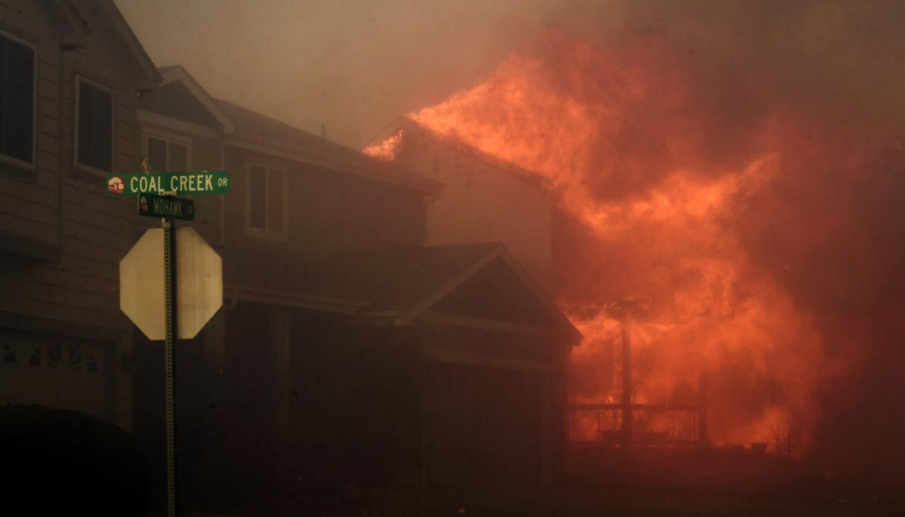 Photo of Incendies du Colorado : les kiwis vivant dans une zone ravagée par le feu décrivent l’horreur comme des incendies de banlieue