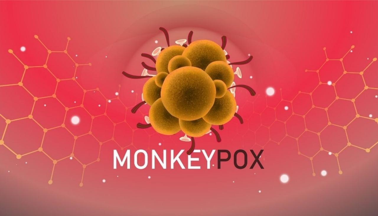 Ospa małp: badanie wykazało, że wirus mutuje 12 razy szybciej niż oczekiwano